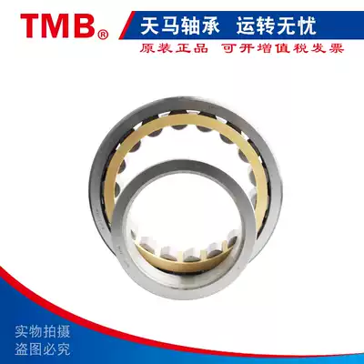 Zhejiang Tianma TMB Bearings NU NJ 204 205 206 207 208 209 210 211 212 EM
