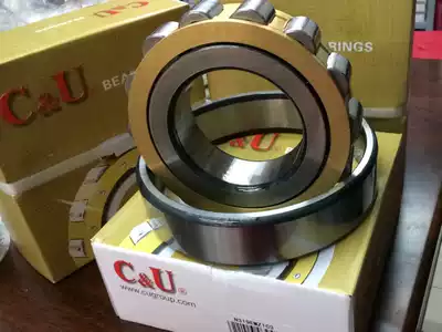 Human-oriented type two low noise high speed motor bearings N318EM Z1C3 N319EM Z1C3
