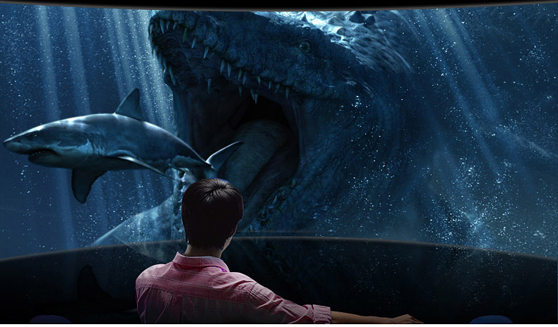 Lunettes 3D OTHER   - Ref 2620773 Image 3