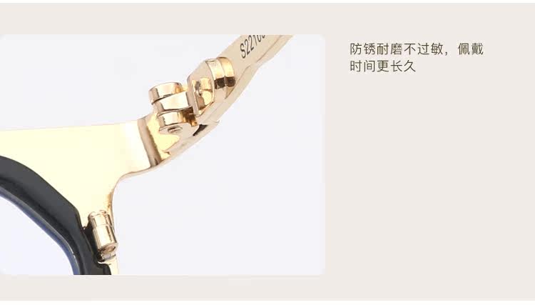 Montures de lunettes en Tole - Ref 3138860 Image 40