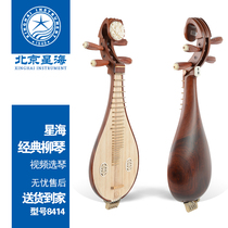 Beijing Starsea Liuqin 8414 Professional Acid Branches Wood Red Wood Liuqin Adult Playing Grade Musical Instrument Tupa Pipa