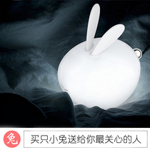 Creative cute rabbit night light LED charging sleep light Silicone feeding bedroom Birthday girl Christmas gift