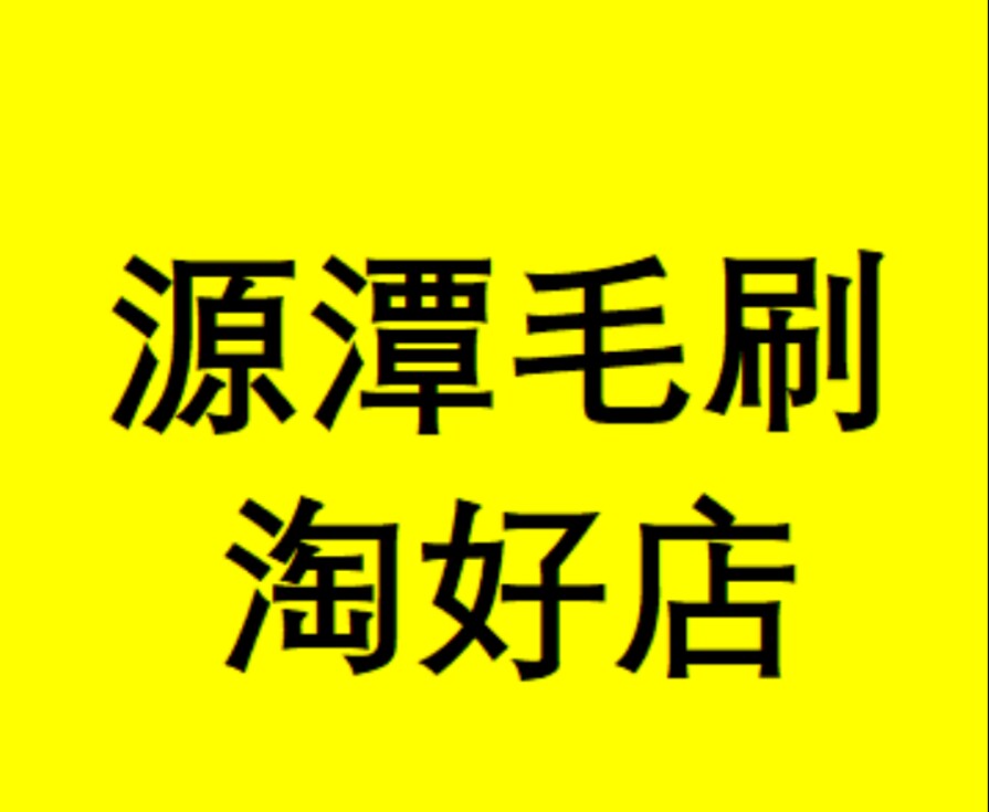 安徽源潭毛刷淘好店