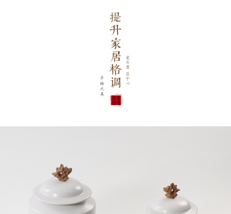 New Chinese style household act the role ofing is tasted furnishing articles ceramic art BeiZi the storage tank floor decoration example room living room window