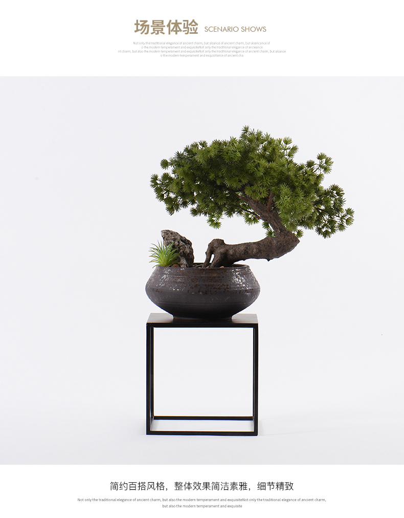 New Chinese style guest - the greeting pine bonsai place dry landscape example room micro landscape, green plant ceramic pot home decoration