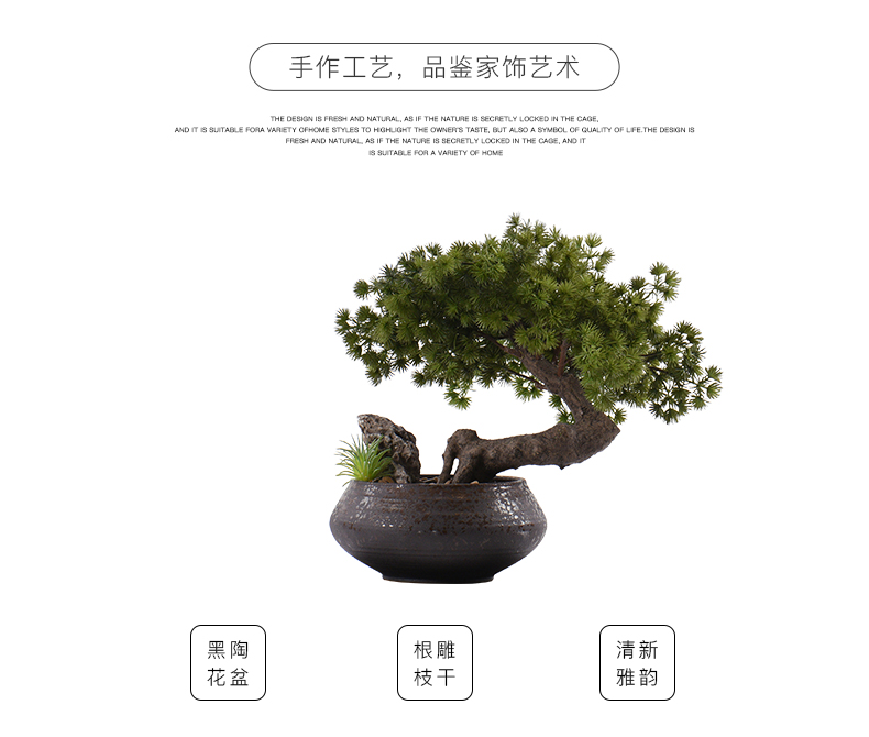 New Chinese style guest - the greeting pine bonsai place dry landscape example room micro landscape, green plant ceramic pot home decoration