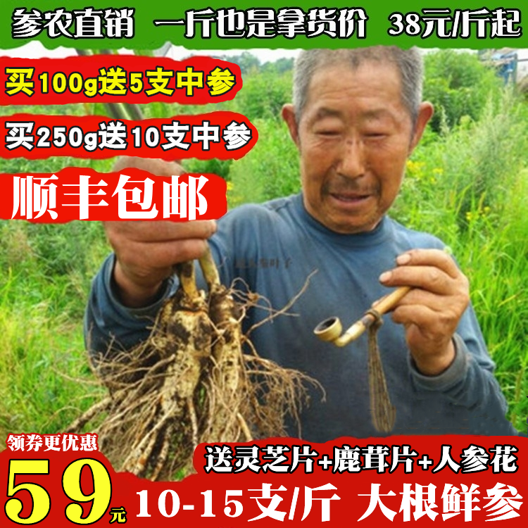 Now Excavated ginseng Changbai Mountain Lower Ginseng Ginseng Can Cook Broth Wine stock Whole Fresh Ginseng Preservation Ginseng