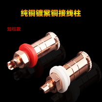 HIFI fever grade pure copper plated copper copper amplifier terminal power amplifier horn holder pure copper horn terminal