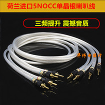 New Dutch imported 5NOCC single crystal silver fever horn hifi main audio amplifier cable