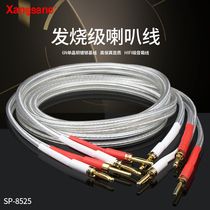 xangsane6N silver-plated horn wire girdling HIFI fever main soundbox wire banana head center wire