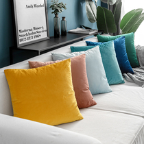 Nordic Holding Pillow Square Cushion Sofa Leaning Against Pillow Living-room Rectangular Backrest Cushion Sky Goose suede pillow cover without core