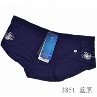 2851 Blue Black