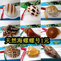 Natural Marine Snail Shells Sea Snail Whistle Horn length 8-13 cm Seven-angle snail Sea Snail spire Number of snails