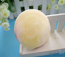 Natural Shells Sea Snail Round Pearl Clams Pearl Bay 6-8 Cm Round Pearl Clams