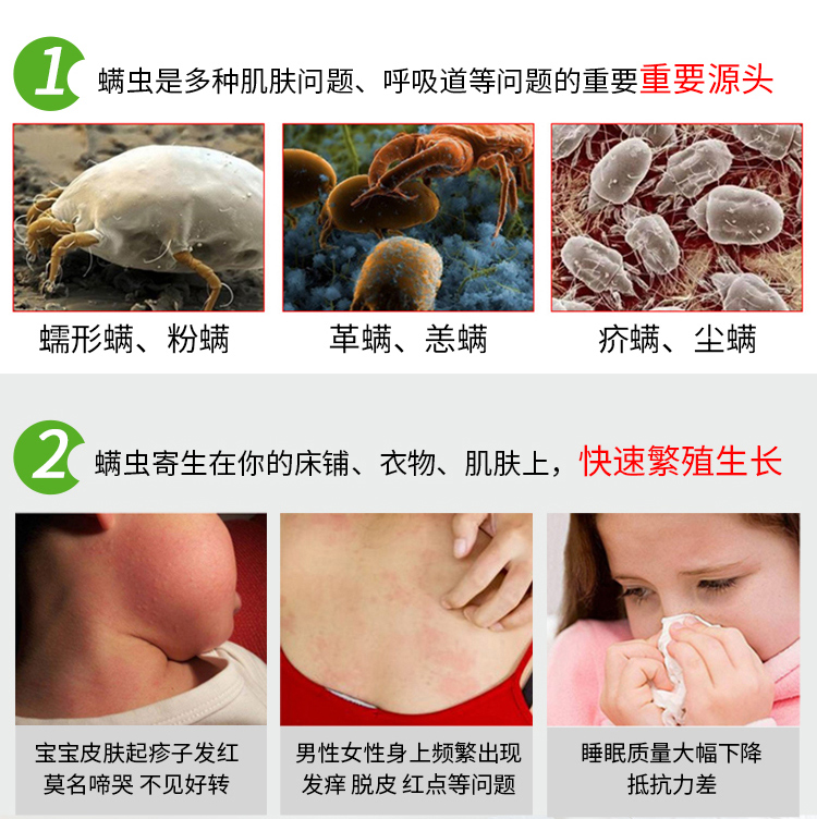 bình xịt côn trùng gián Nhật Bản để cào cào cổ vật ngoài bọ cạp bọ cạp không phun thuốc diệt côn trùng nhập khẩu thuốc chống mạt nhập khẩu - Thuốc diệt côn trùng bình xịt diệt bọ chét