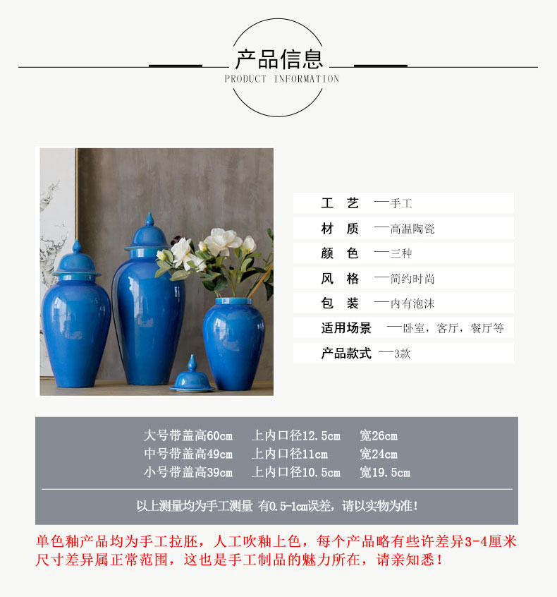 Manual booking with jingdezhen ceramics high temperature ceramic pot storage tank sitting room put vase decoration furnishing articles