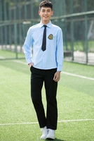 Одинарная мужская однотонная синяя рубашка с длинными рукавами