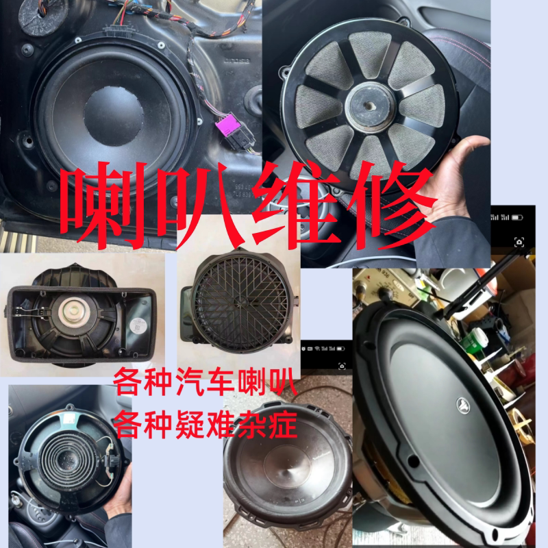 Speaker Crossover Repair, Car Professional, Home Use, Antique, Imported Speaker Repair, Voice Coil Replacement, Paper Cone Replacement