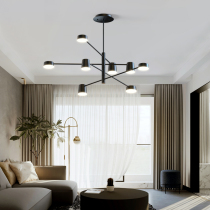 Living room chandelier Simple modern designer bedroom atmosphere Household Nordic lamps Creative net Red personality restaurant lights