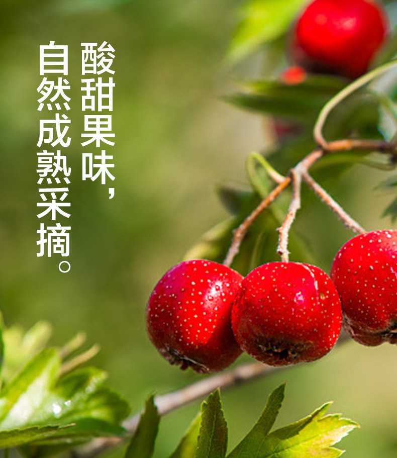 【中国直邮】 来伊份 减糖山楂糕80g 果丹皮山楂片蜜饯山楂饼零食 80G