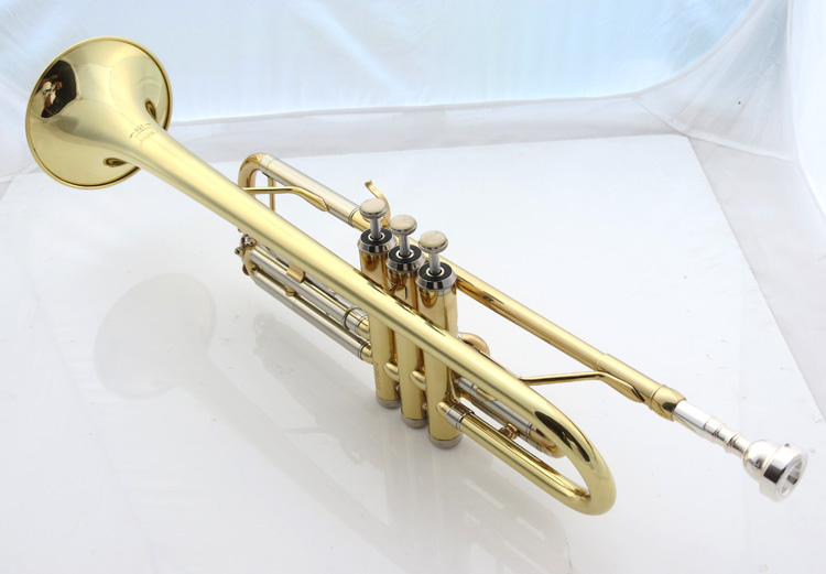 Sino-US chung quỹ âm thanh loại nhạc cụ hai màu B-tông JYTR-E108G - Nhạc cụ phương Tây kèn saxophone điện tử