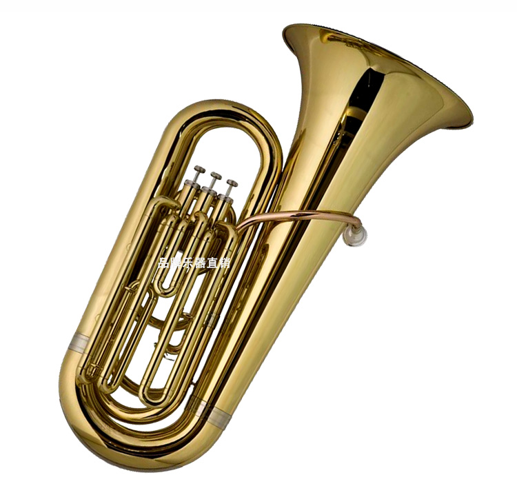 Jinyin Li phím nhỏ ôm lớn nhạc cụ lớn ban nhạc JYTU-E120G - Nhạc cụ phương Tây kèn saxophone điện tử