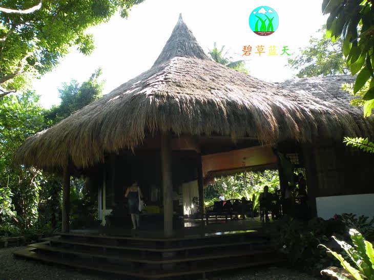 18138269_d Copy .jpg