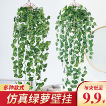 Simulation plant fake flower Vine Vine Vine green plant home decoration interior leaf decoration hanging basket plastic green Diola Wall Wall