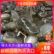 Ningbo Special Produce Clay Snail Fresh and Canned Fresh Yellow Clay Stud-level Seafood Leftover food Three-bottled