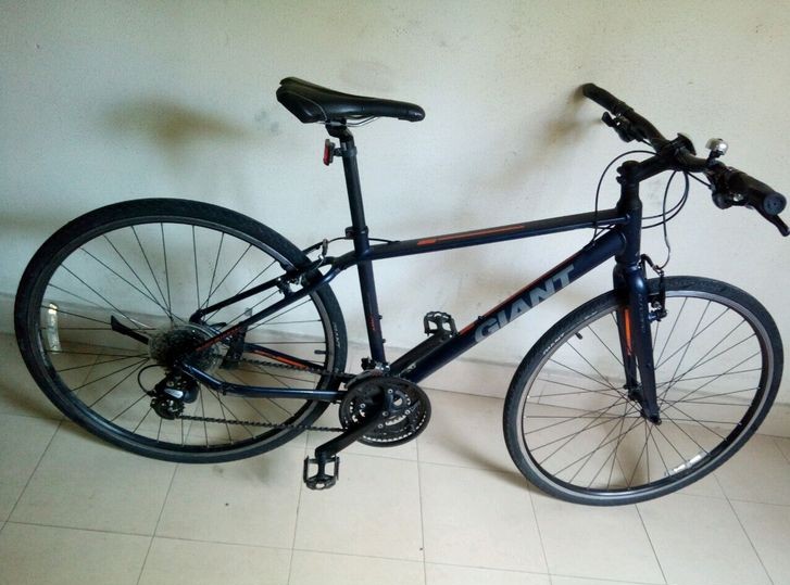 giant fcr 3100