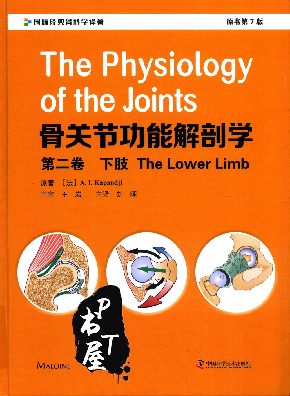 骨关节功能解剖学 第2卷 下肢 Book Cover