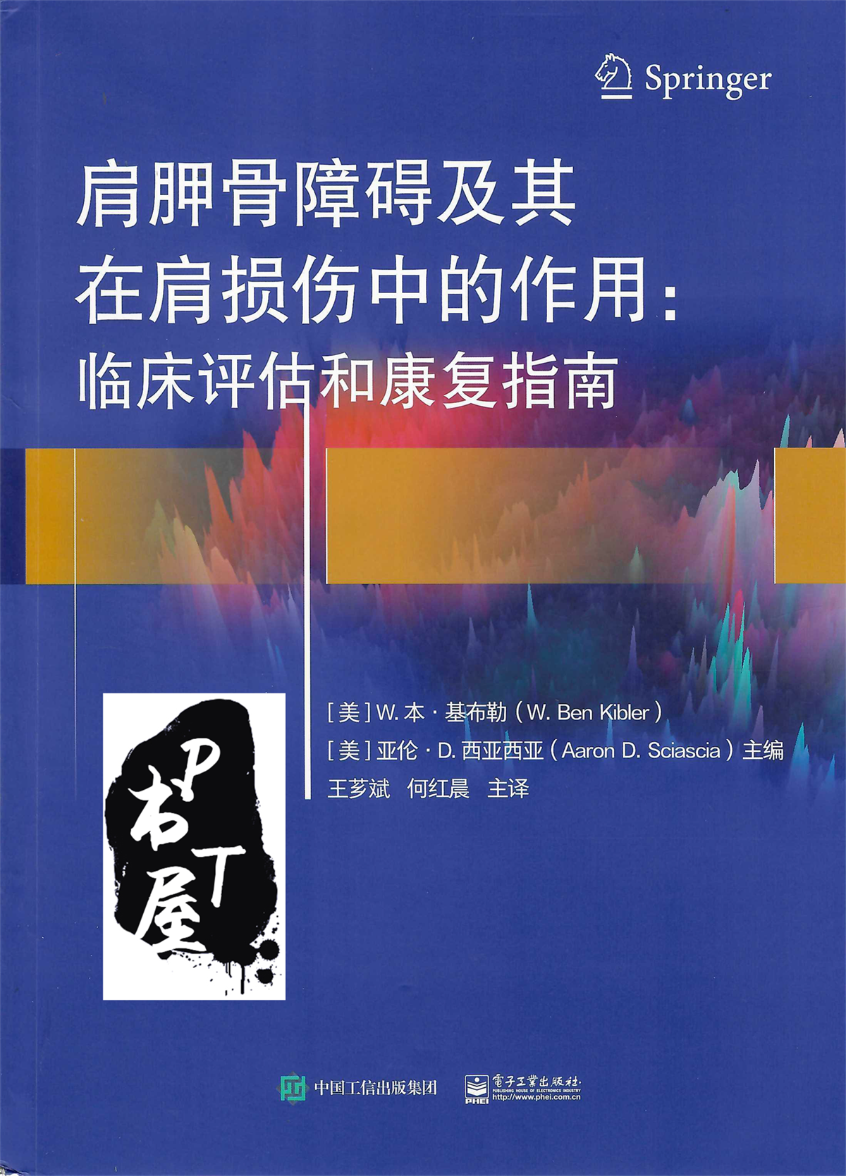 肩胛骨障碍及其在肩损伤中的作用 临床评估和康复指南 Book Cover