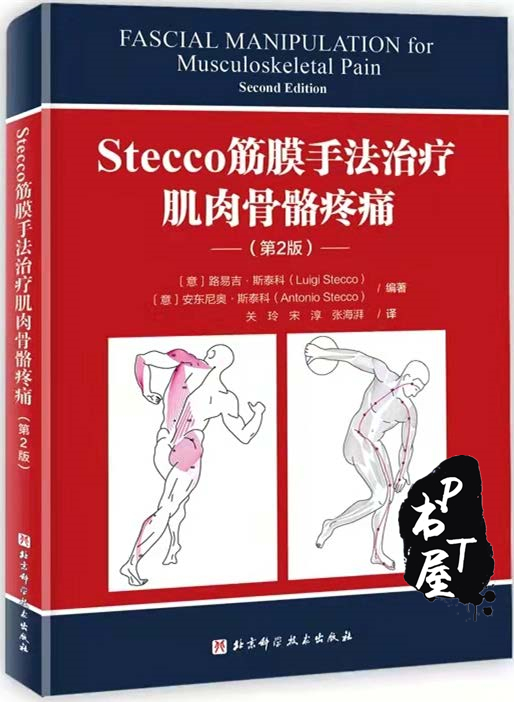 stecco筋膜手法治疗肌肉骨骼疼痛（第2版） Book Cover