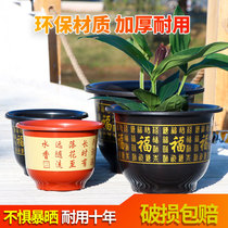 Plastic special clearing of flower pots and thickening of wealthy tree green plants flower potted plants outdoor classical extra large resin