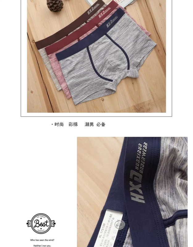 Đồ lót nam, quần boxer, thắt lưng nam, quần bốn góc, cotton modal, màu đặc, thời trang thể thao trẻ trung, nam sành điệu quần xì con voi