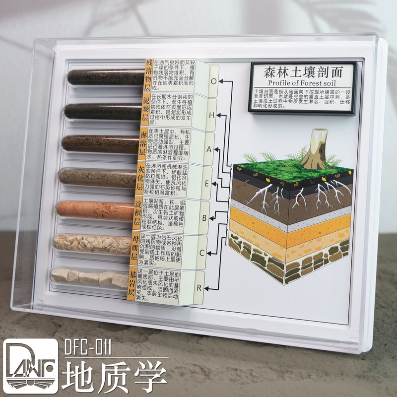 Soil Forest Soil Profile Rock Mineral Fossil Coal Scientific Research Grade Precision Specimen Danfeng Dfc Soil Forest Soil Profile Rock Mineral Fossil Coal Scientific Research Grade Precision Specimen Danfeng Dfc