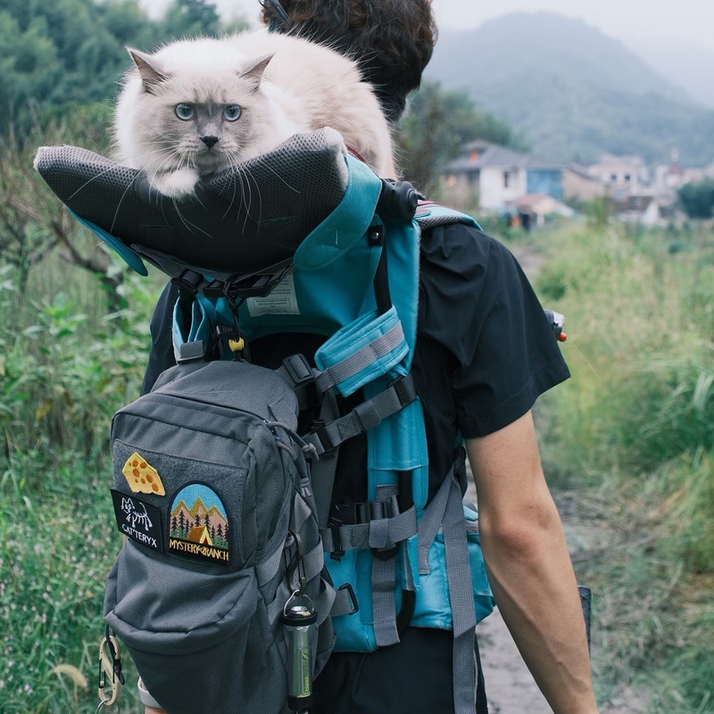 Childcity Cat Shoulder Bag Outdoor Cat Carrier Shoulder Seat Pet Backpack Breathable Waist Protection Angle Adjustment Childcity Cat Shoulder Bag Outdoor Cat Carrier Shoulder Seat Pet Backpack Breathable Waist Protection Angle Adjustment