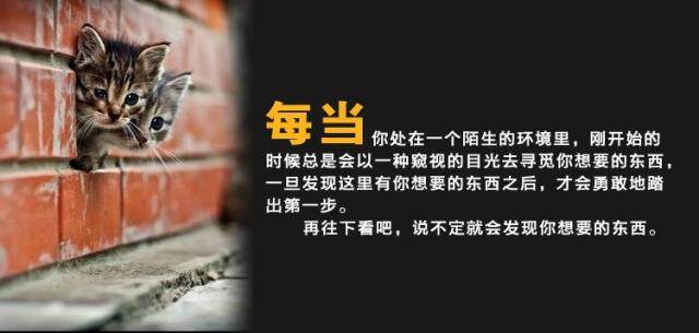 Costume homme en polyester pour automne - Ref 1563783 Image 9