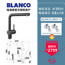 Germany imported BLANCO LINUS-S hot and cold kitchen sink pull-out faucet 516688