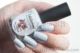 Russian Garden Cat EL Corazon Spring Fantasy / Wonderful Nail Polish 15ml - Sơn móng tay / Móng tay và móng chân