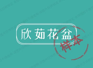 欣茹花盆