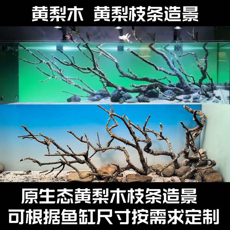 Yellow Pear Wood Landscaping, Yellow Pear Branches for Fish Tanks, Natural Tank Landscaping Branches, Ecological Tank Driftwood Skeleton, Grass Tank Branches, Floating Branches