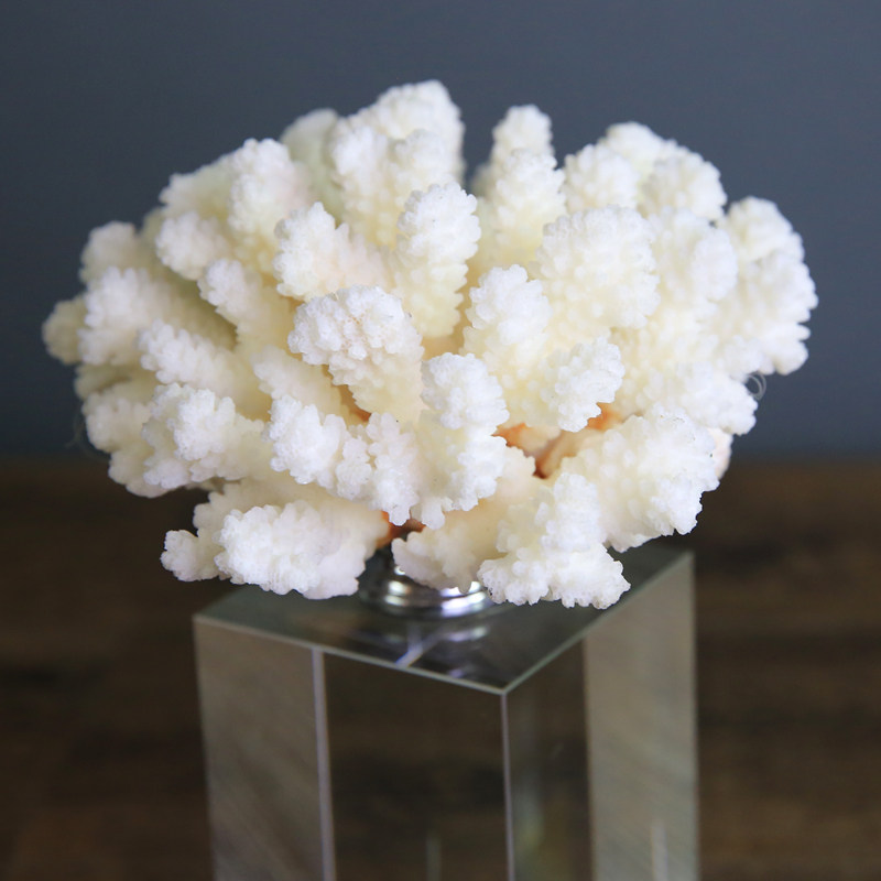 ��˹���ŷʽ���к�ɺ���ڼ�ks964