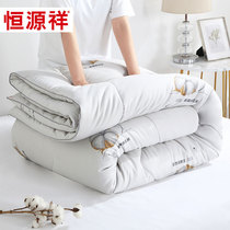 Hengyuanxiang Xinjiang cotton quilt quilt antibacterial warm cotton thickened quilt Core Four Seasons Universal Children quilt core