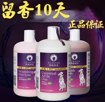 Ferret Dog Body Wash bath lotion Bath Lotion Kitty Balsamic and Snow Sculpture with Bear Teddy Gold Hairy Shampoo