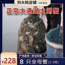 Liu Daunt Living Aquatic Aquatic Cave Courtyard Lake Tonghu Hairy Crab Lake Crab Lake Crab 8 Only 2 5 Two Full Mother Crab Paramon