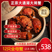 Fresh Aquatic Cave Courtyard Lake Hairy Crab Crab Datong Lake Hairy Crab 12 Only 3-Two Full Mother Crab Tailong