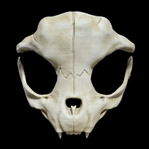 Soldier animal bone mask cos Halloween horror skull mask devil wolf props haunted house ornament resin