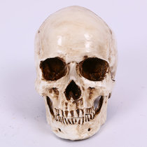  Simulation 1:1 resin skull skull model art painting separable Halloween horror skull decoration ornaments
