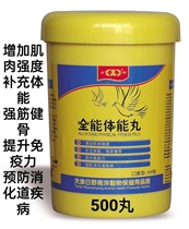 日野鸽药全能体能丸500粒 比赛鸽信鸽子用品补体王营养能量提速